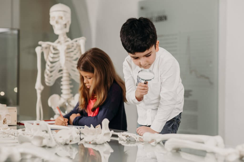 hallein-duerrnberg-erleben-sehenswuerdigkeiten-keltenmuseum-kinder-forschen