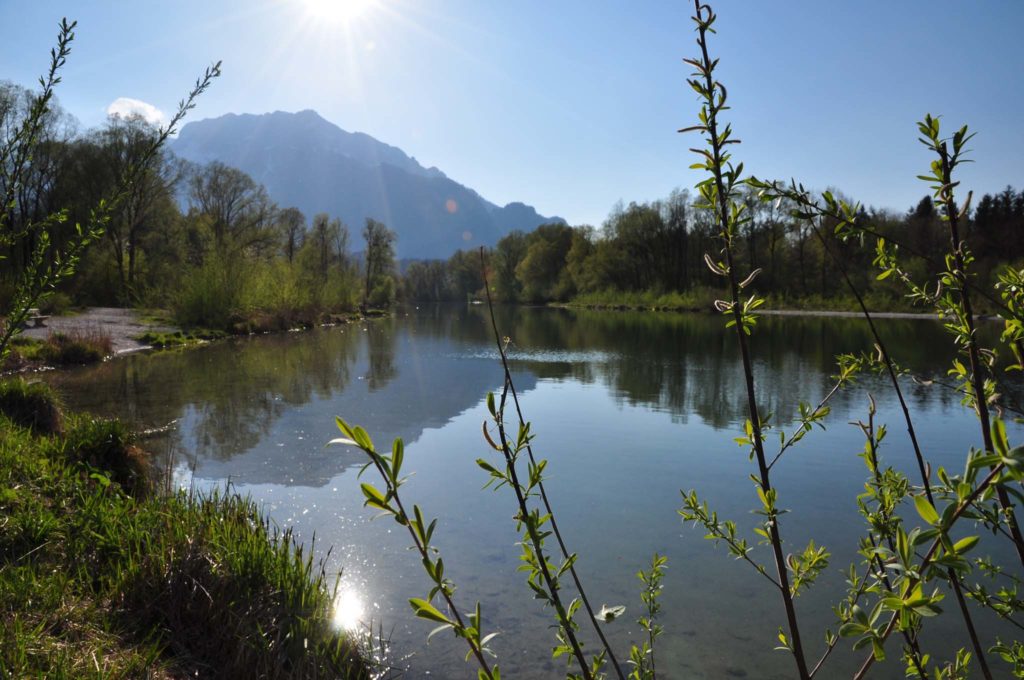 tvb-hallein-duerrnberg-erleben-koenigseeache-sonne