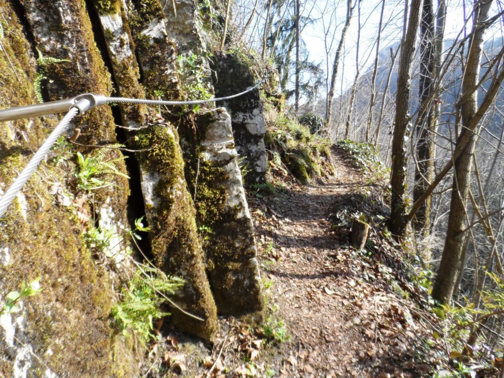 tvb-hallein-duerrnberg-erleben-wandern-ruine-gutrat-wanderpassage