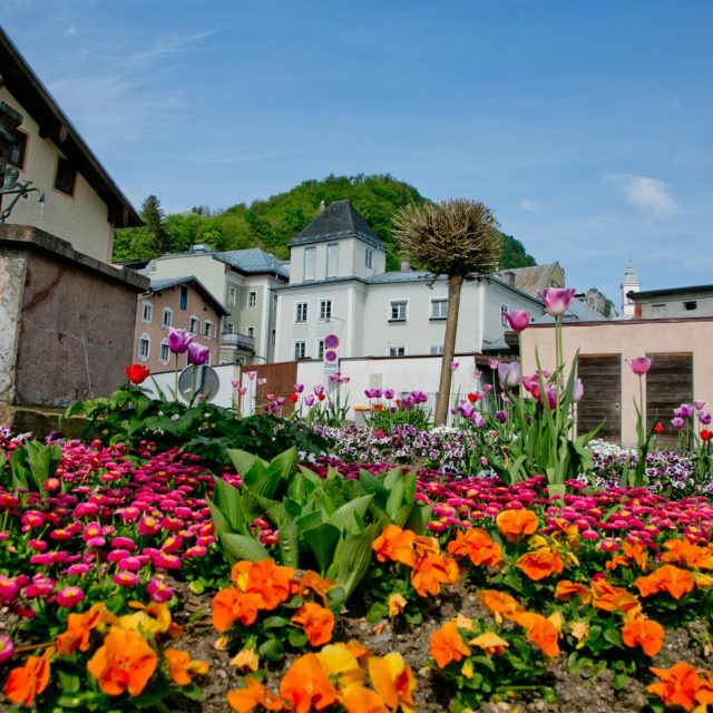 Molnarplatz Hallein
