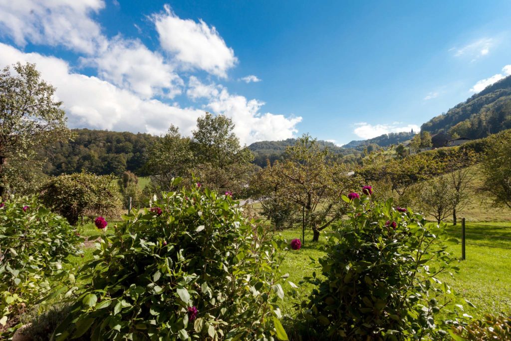 tvb-hallein-duerrnberg-unterkunft-achleiten-garten