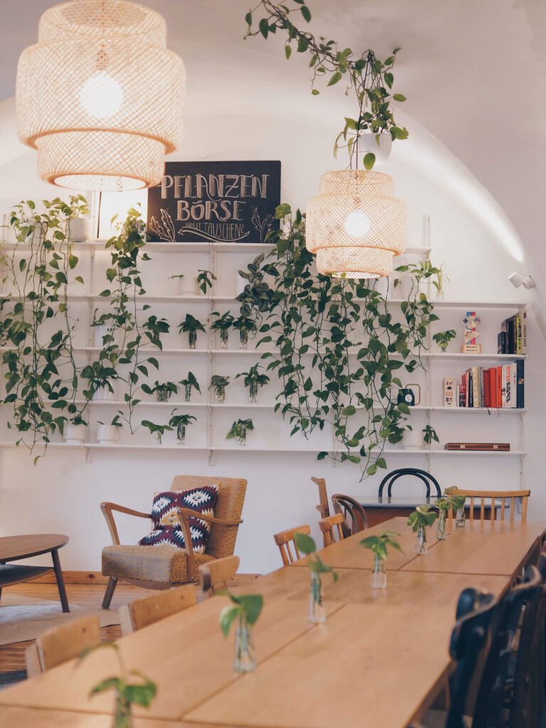 tvb-hallein-duerrnberg-geniessen-pan-cafe-pflanzenboerse