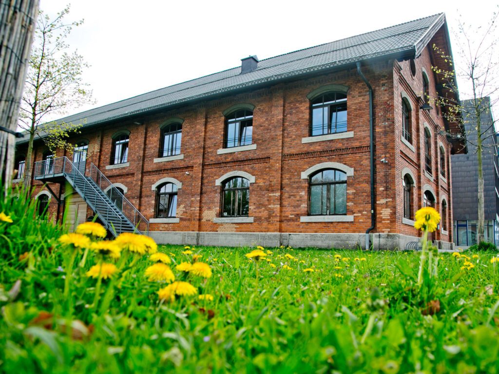 tvb-hallein-duerrnberg-ziegelstadel-loewenzahn