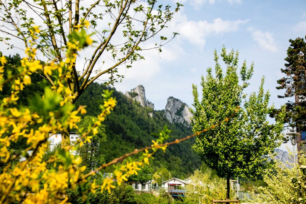 TVB Hallein, Salzburgerland, 20180423, (c)wildbild