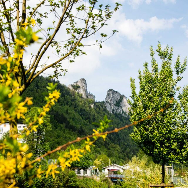 TVB Hallein, Salzburgerland, 20180423, (c)wildbild