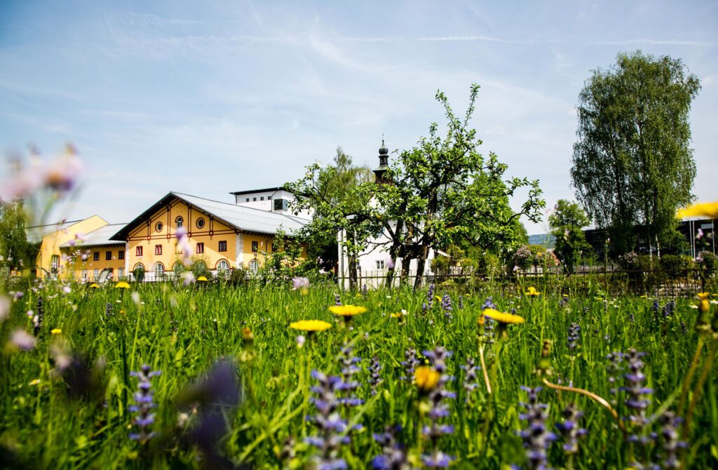 TVB Hallein, Salzburgerland, 20180423, (c)wildbild