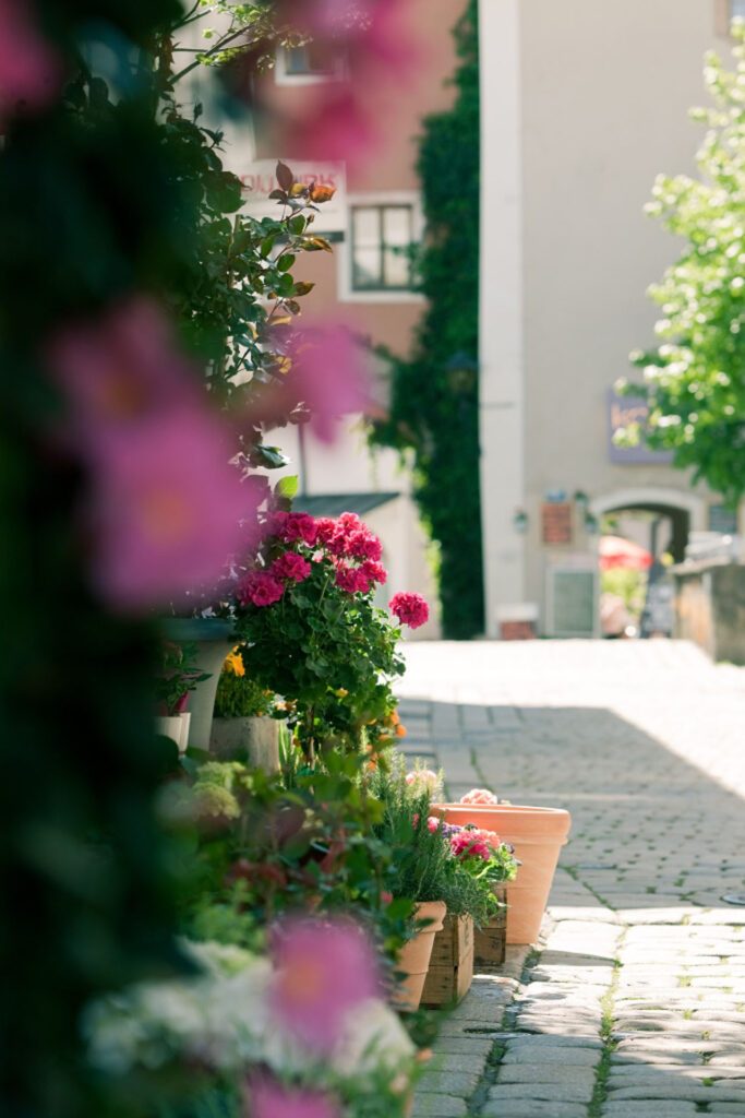 hallein-blog-touren-und-fuehrungen-vorderseite