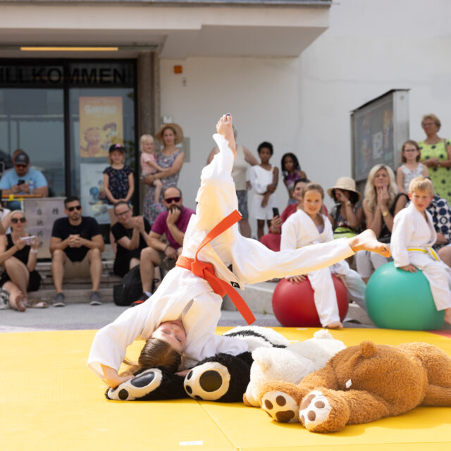 Stadtfest Hallein, 20240629, (c) wildbild