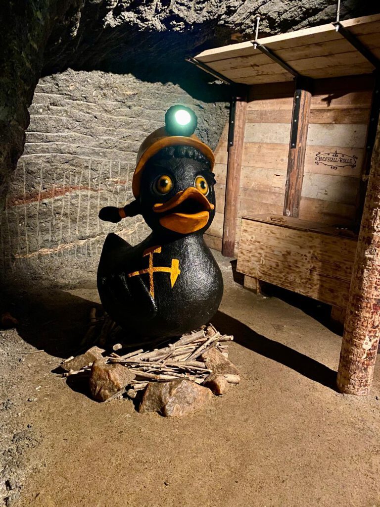 salzwelten-ente