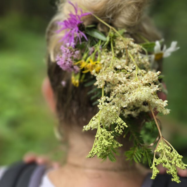 mädesüß © Melanie Deisl