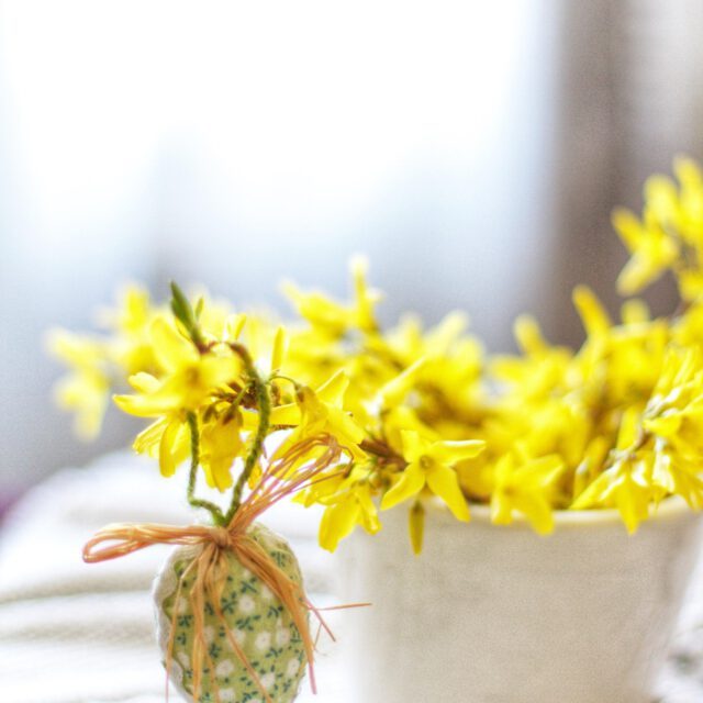 Oster Frühstück 02 © olga volkovitskaia, Pixabay