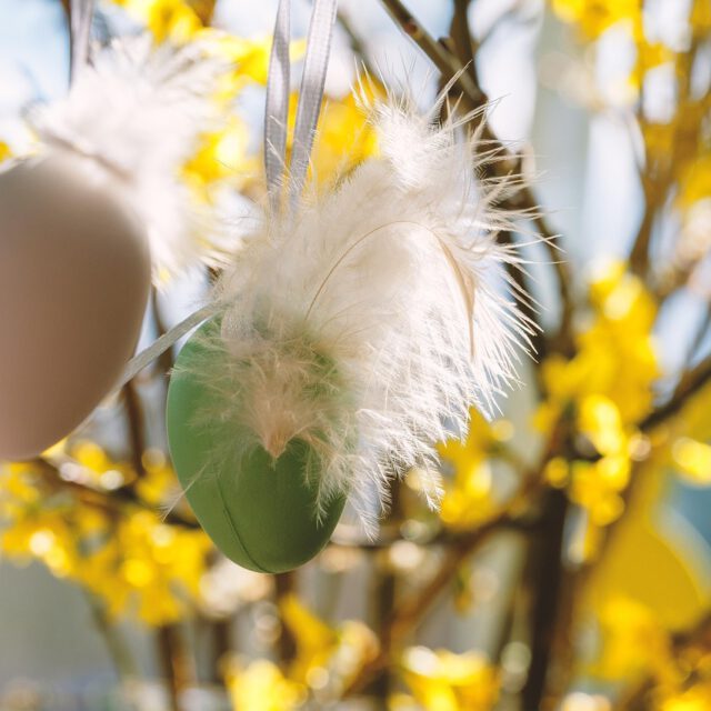 Osterstrauch © Bruno, Pixabay