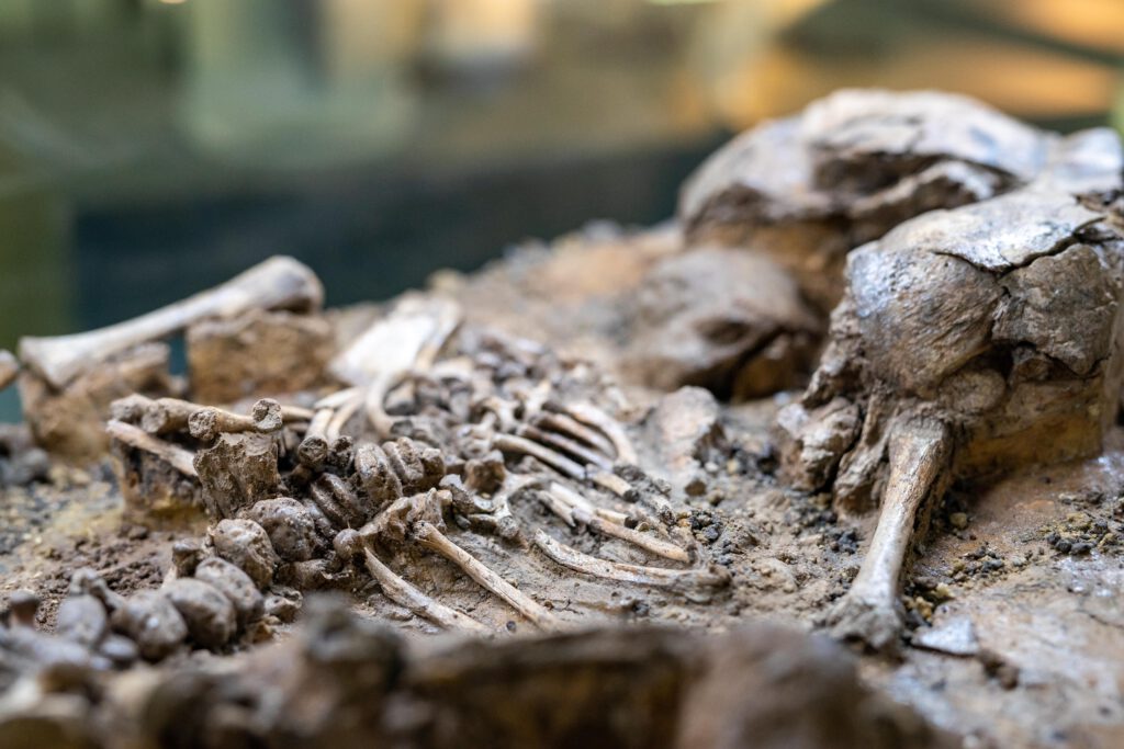 TVB_10. Feb_Knochenlabor