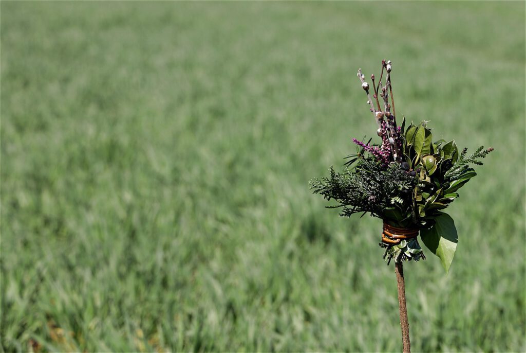 palmbuschen © Franz W., Pixabay