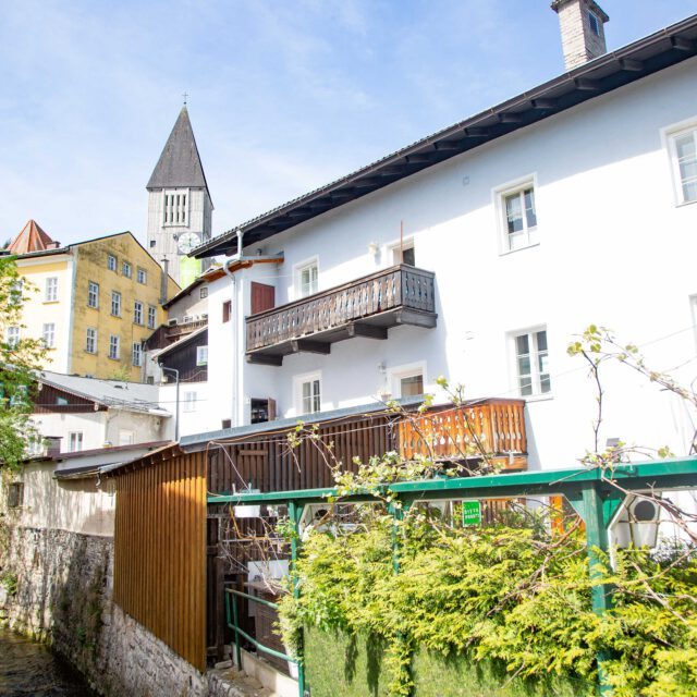 Hallein, Salzburg, ©www.wildbild.at