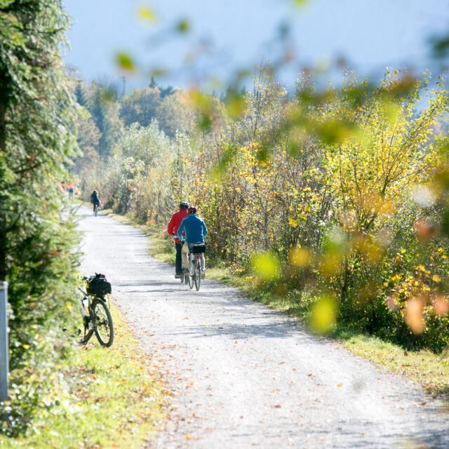 Rif, TVB Hallein, Herbst, Tourismus, Urlaub, 20171018, © wildbild