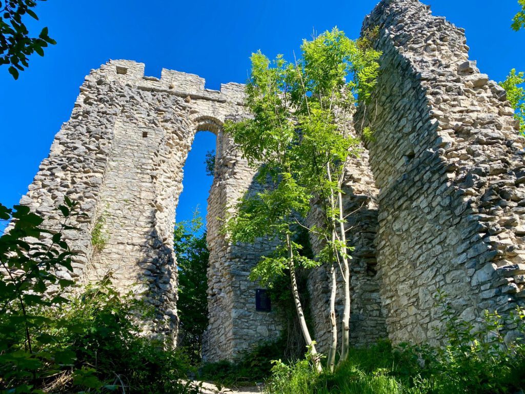 Ruine Thürndl