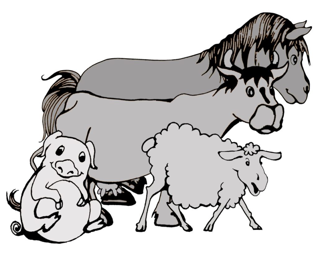 TVB_22. Juli_Die Tiere der Kelten